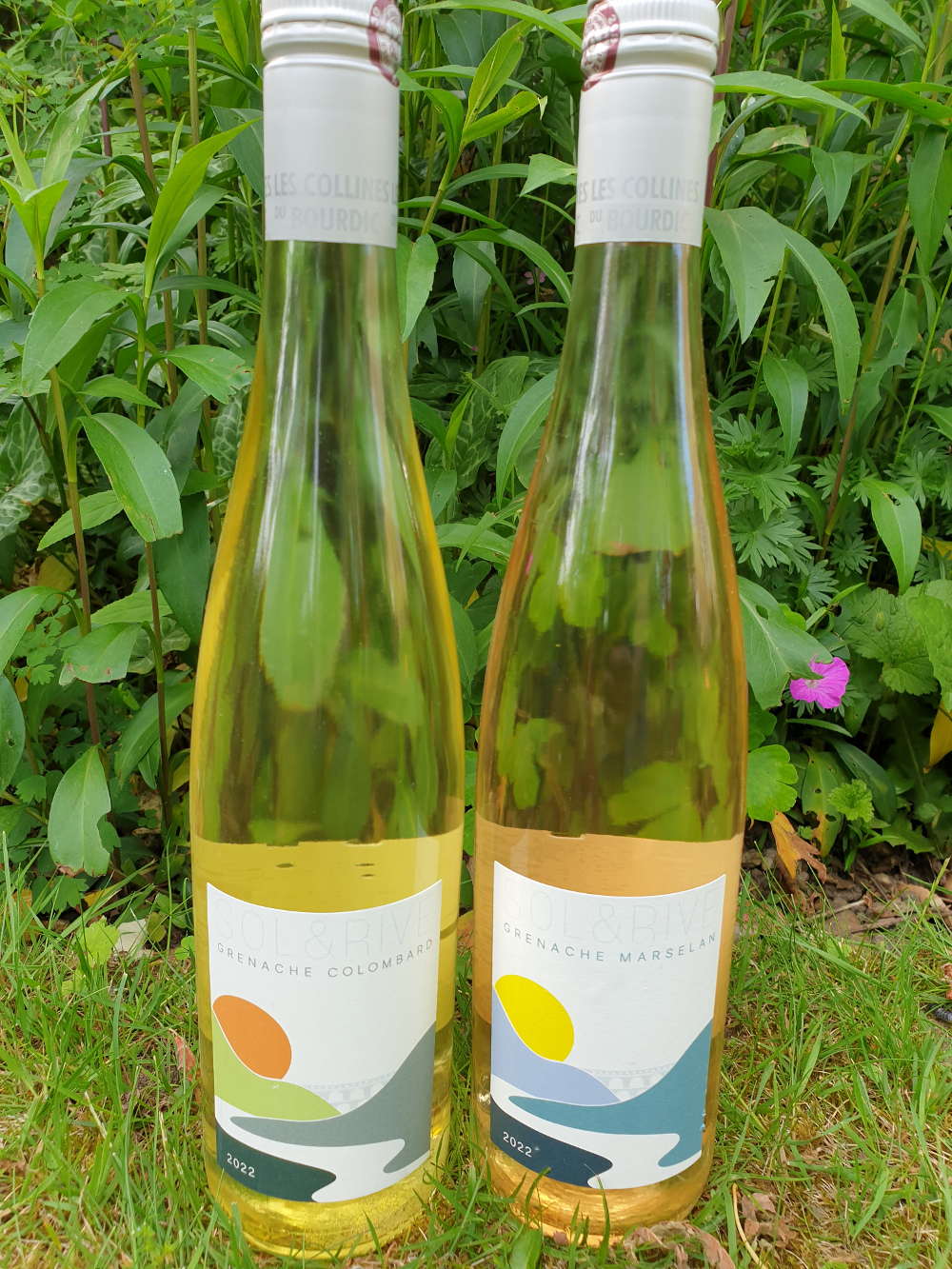 Les Collines du Bourdic SOL&RIVE wines SOL&RIVE wines